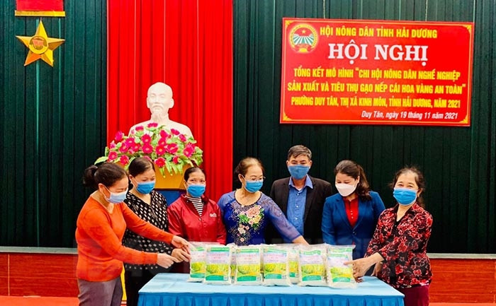Duy Tân tiếp tục mở rộng sản xuất, tiêu thụ gạo nếp cái hoa vàng an toàn